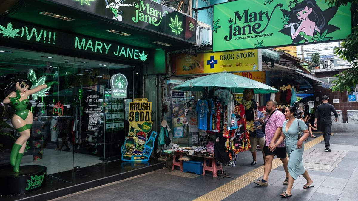 Thailand Faces Critical Cannabis Policy Crossroads as Legal Framework Crumbles