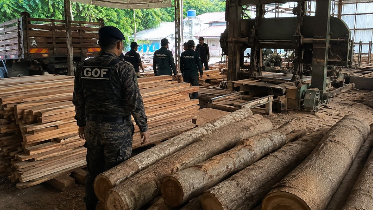Terengganu Sawmill Raided: GOF Seizes Timber, Equipment Worth RM640,510