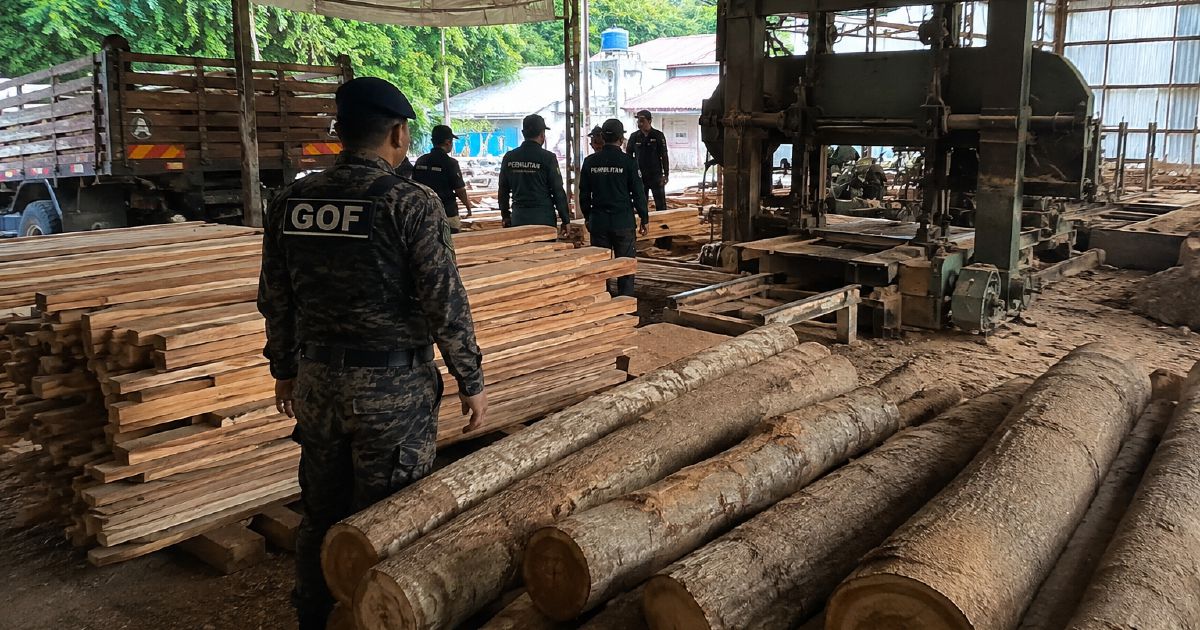 Terengganu Sawmill Raided: GOF Seizes Timber, Equipment Worth RM640,510