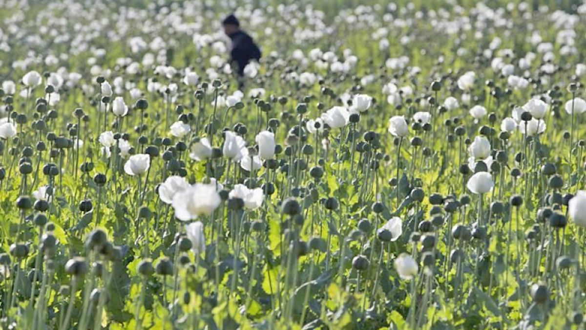 Myanmar police seize 17.6 kg of heroin and million stimulant tablets in major drug bust