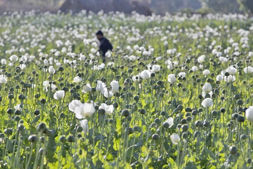 Myanmar police seize 17.6 kg of heroin and million stimulant tablets in major drug bust