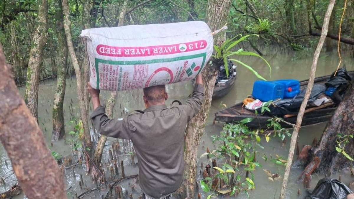 Bangladesh authorities destroy illegal poison-laced shrimp operations in Sundarbans
