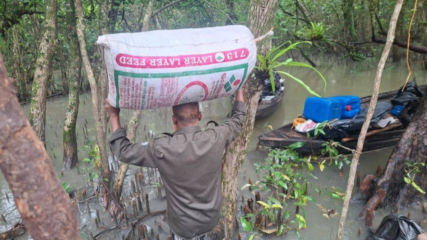 Bangladesh authorities destroy illegal poison-laced shrimp operations in Sundarbans