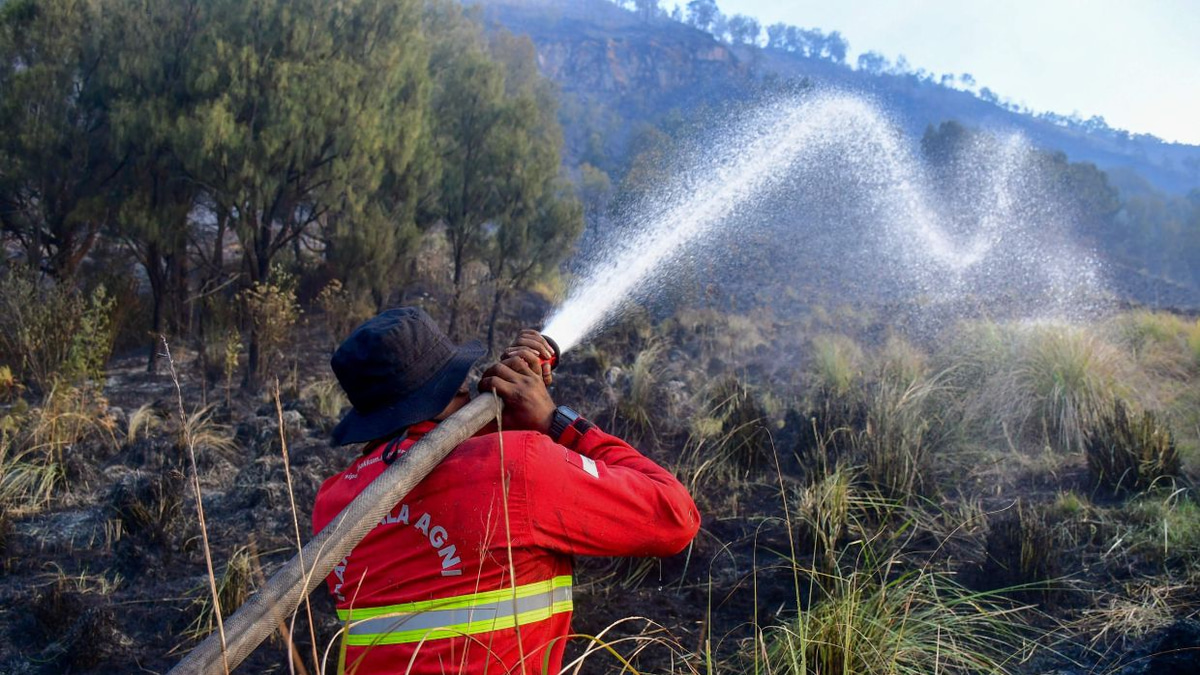 Indonesia Shuts Mount Bromo to Tourists as Wildfire Spreads Across East Java Caldera