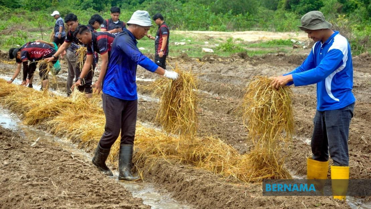 Agricultural TVET Graduates See Strong Employment Gains, But Sector Faces Youth Engagement Challenge