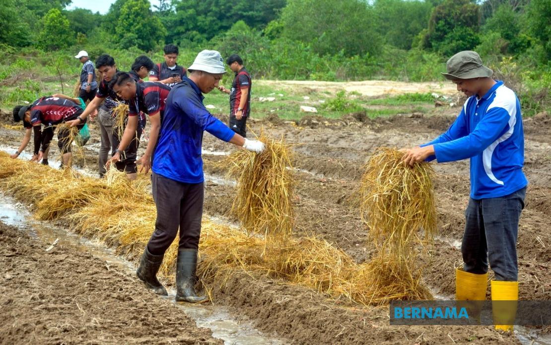 Agricultural TVET Graduates See Strong Employment Gains, But Sector Faces Youth Engagement Challenge