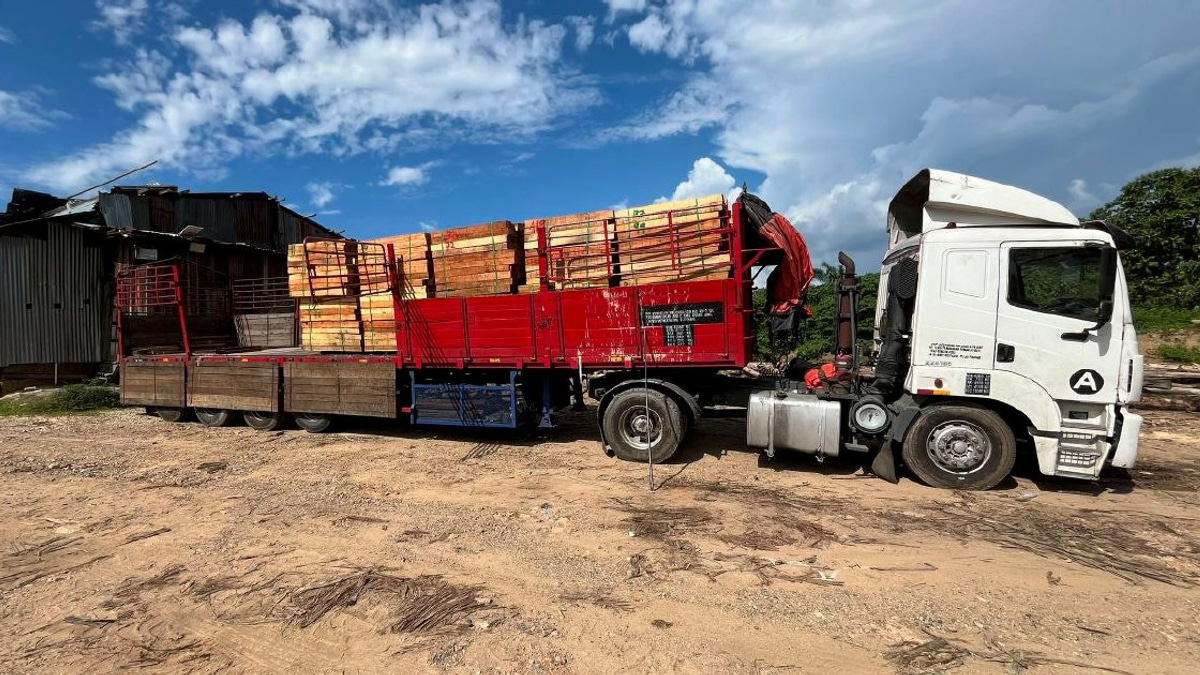 Five arrested as authorities seize RM2.32 million in illegal timber and processing equipment in Kelantan