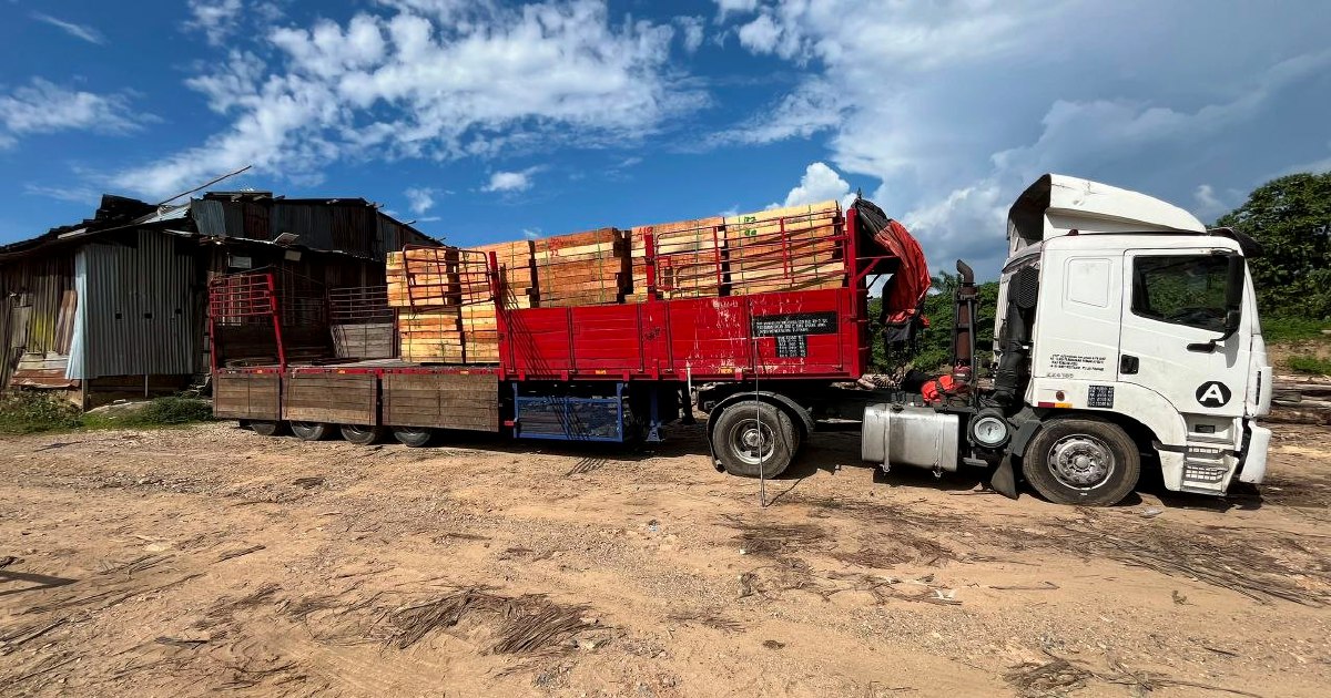 Five arrested as authorities seize RM2.32 million in illegal timber and processing equipment in Kelantan