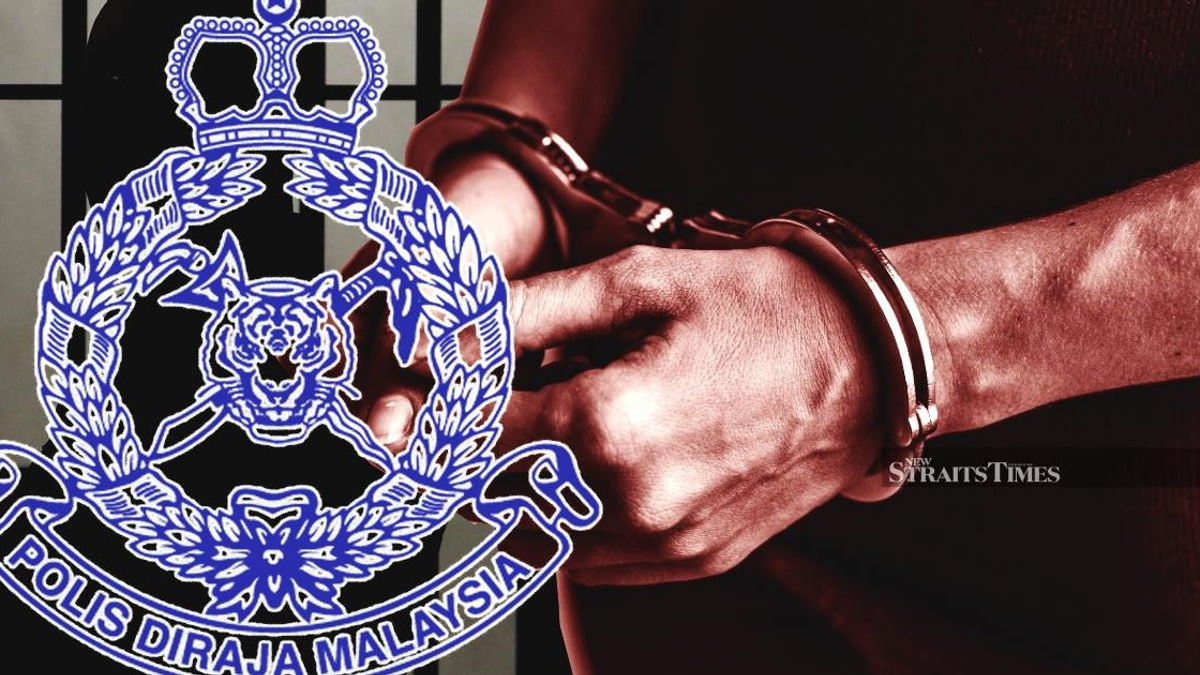 Three arrested after authorities seize six protected birds valued at RM33,000 in Kuala Lumpur and Selangor