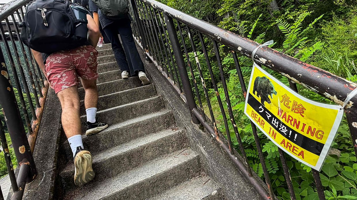 Japan Deploys Hundreds of Wildlife Cameras to Combat Surging Bear Attacks