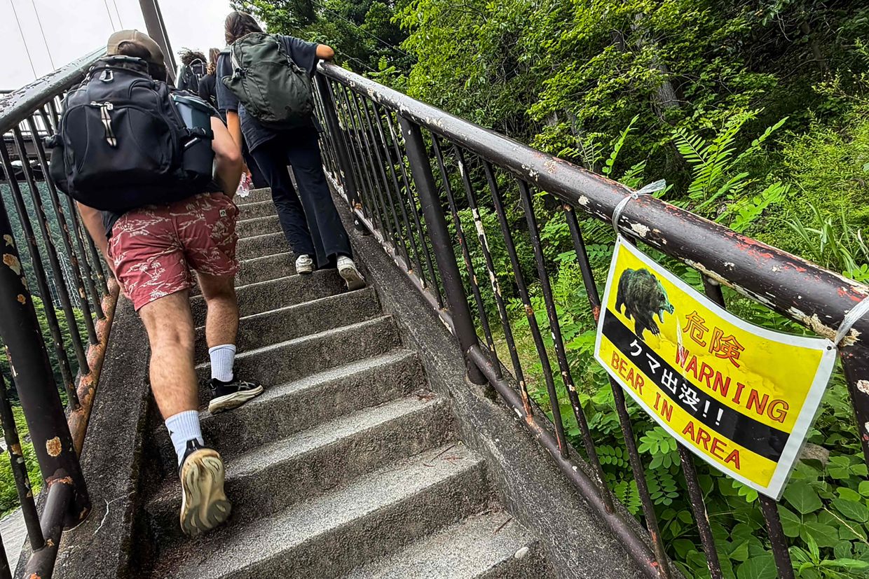 Japan Deploys Hundreds of Wildlife Cameras to Combat Surging Bear Attacks