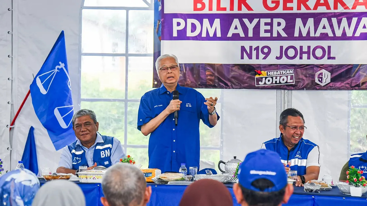BN-PN Coalition Success Could Set Template for Next General Election, Former PM Ismail Sabri Signals