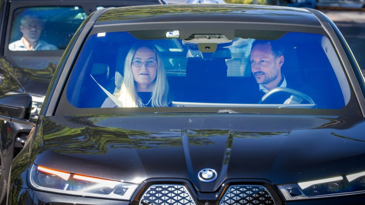 Norwegian King Harald's Health Takes Critical Turn as Palace Issues Stark Update