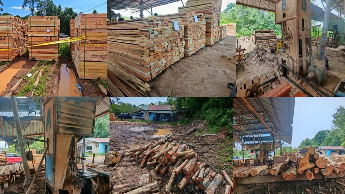 Four arrested as authorities crack down on illegal timber operation in Kelantan