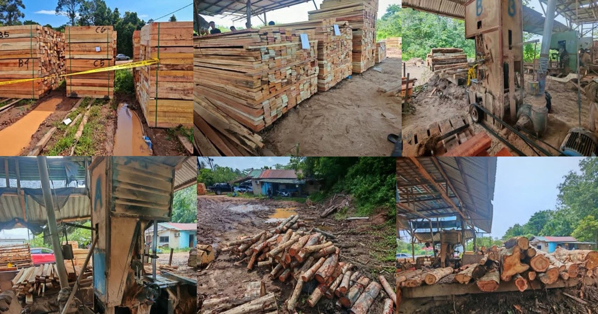 Four arrested as authorities crack down on illegal timber operation in Kelantan