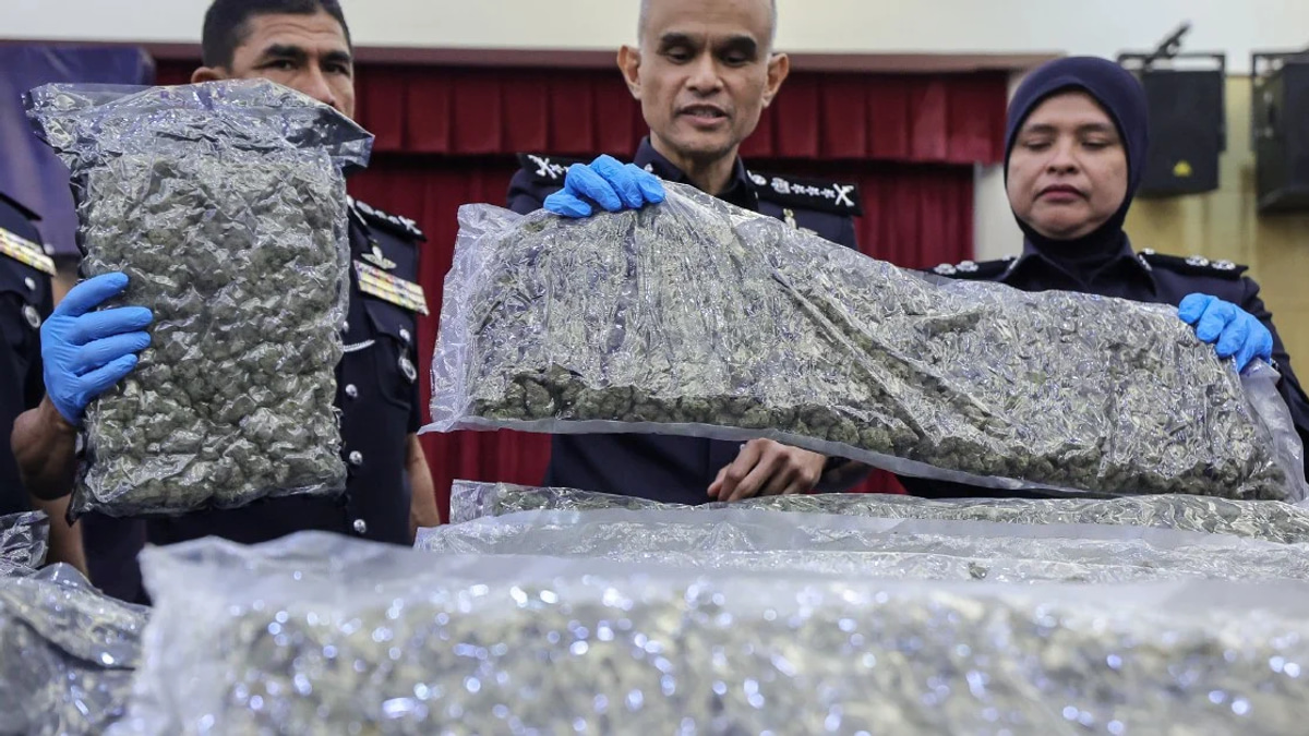 Police Intercept Over Half a Tonne of Cannabis at KLIA in Major Trafficking Crackdown