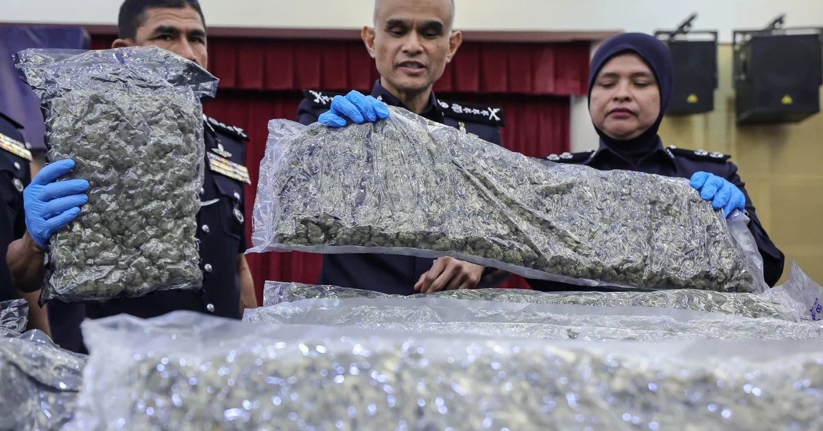 Police Intercept Over Half a Tonne of Cannabis at KLIA in Major Trafficking Crackdown