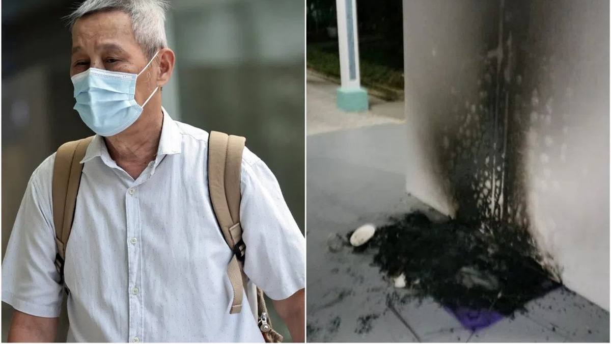 Singapore man jailed three months for torching community cat shelters in dispute over stray cat welfare