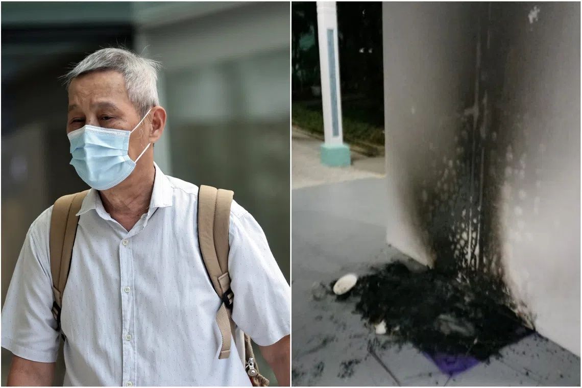 Singapore man jailed three months for torching community cat shelters in dispute over stray cat welfare