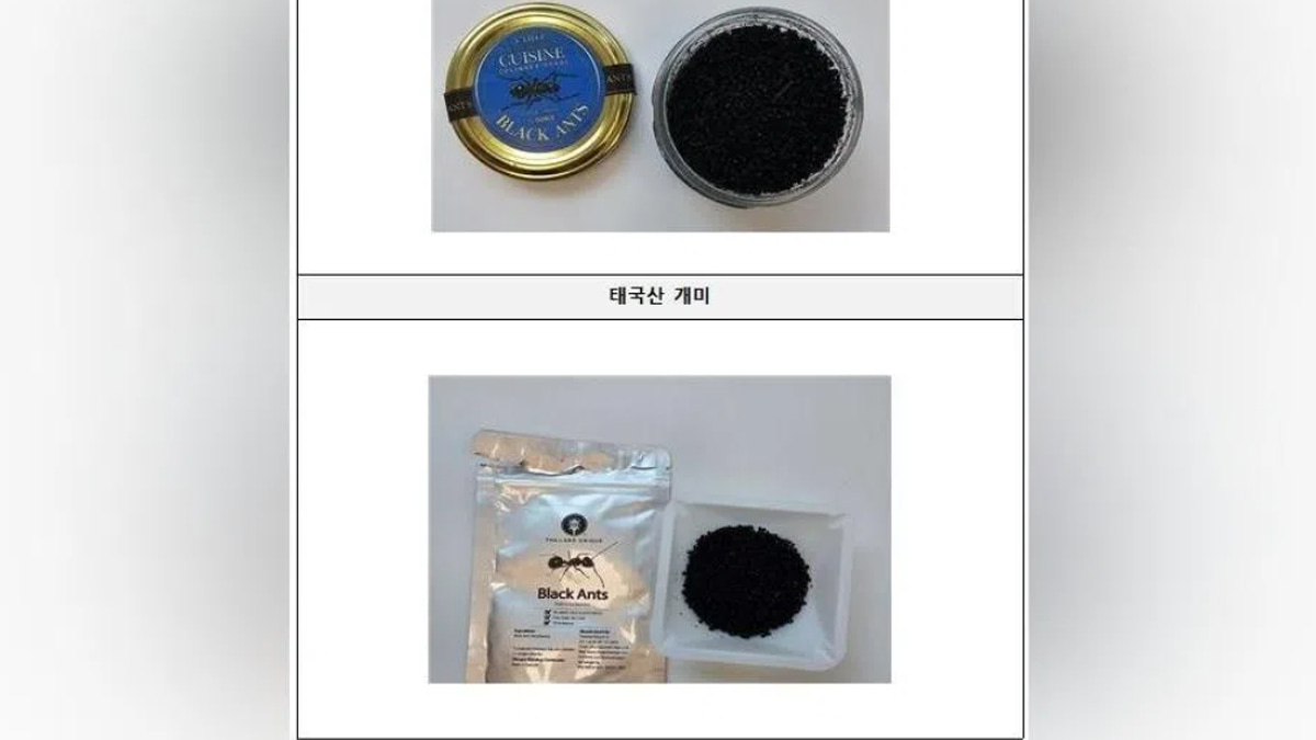 South Korean Michelin-starred chef faces jail time over black ant garnish violation