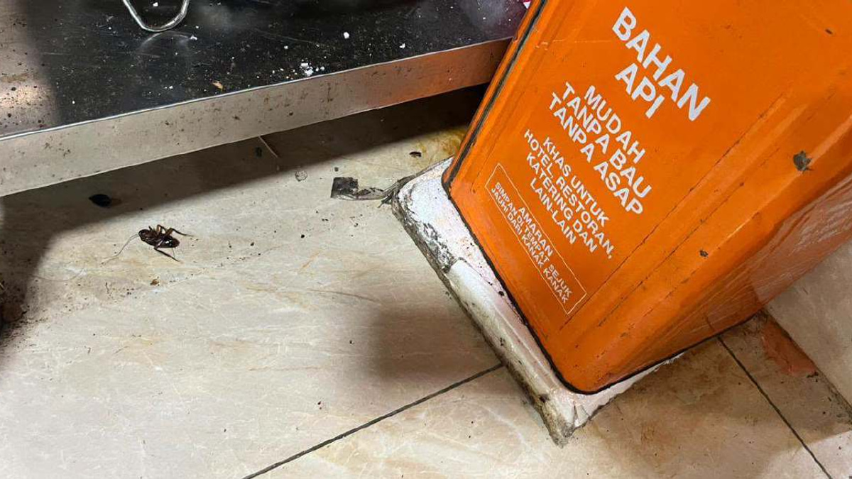 DBKL Cracks Down on Hygiene Violations: 74 Notices Issued, Six Jalan Alor Eateries Shuttered