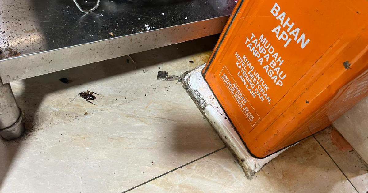 DBKL Cracks Down on Hygiene Violations: 74 Notices Issued, Six Jalan Alor Eateries Shuttered