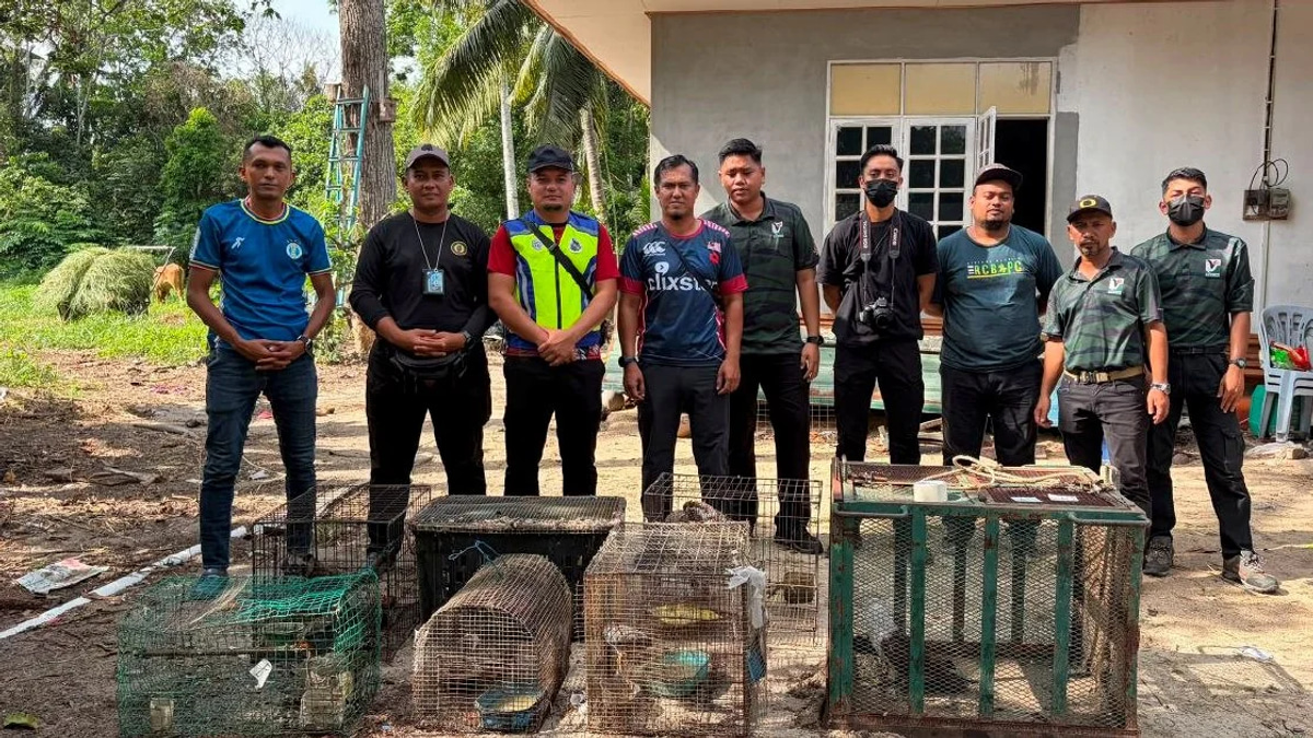 Teen arrested with RM48,500 in protected wildlife seized in Kelantan raid