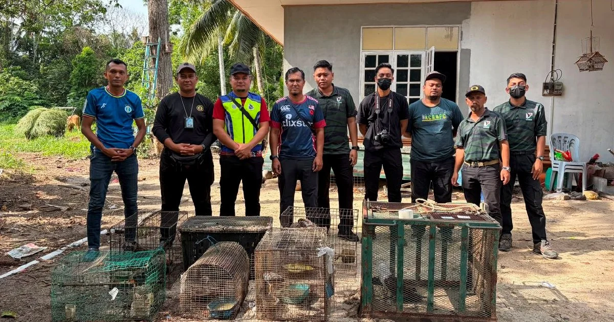 Teen arrested with RM48,500 in protected wildlife seized in Kelantan raid