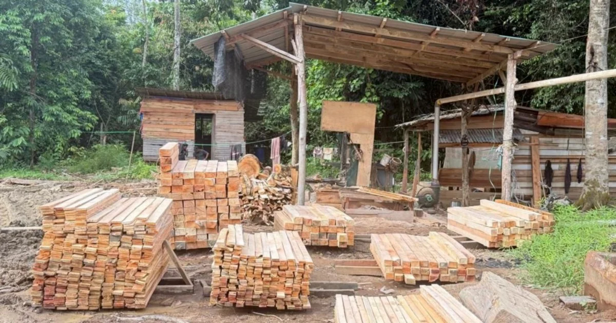 Five Detained, RM1.69 Million Seized in Illegal Sawmill Operation