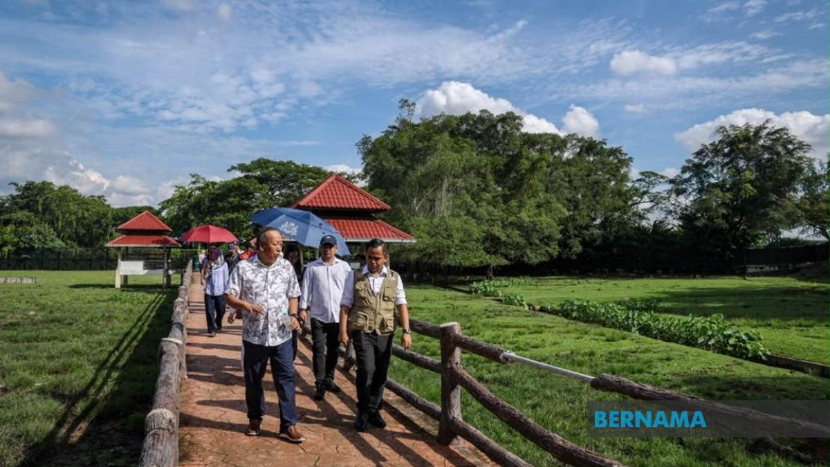 Sabah UMNO Mobilises Ground Force to Boost BN's Johor Campaign in Migrant-Heavy Seats