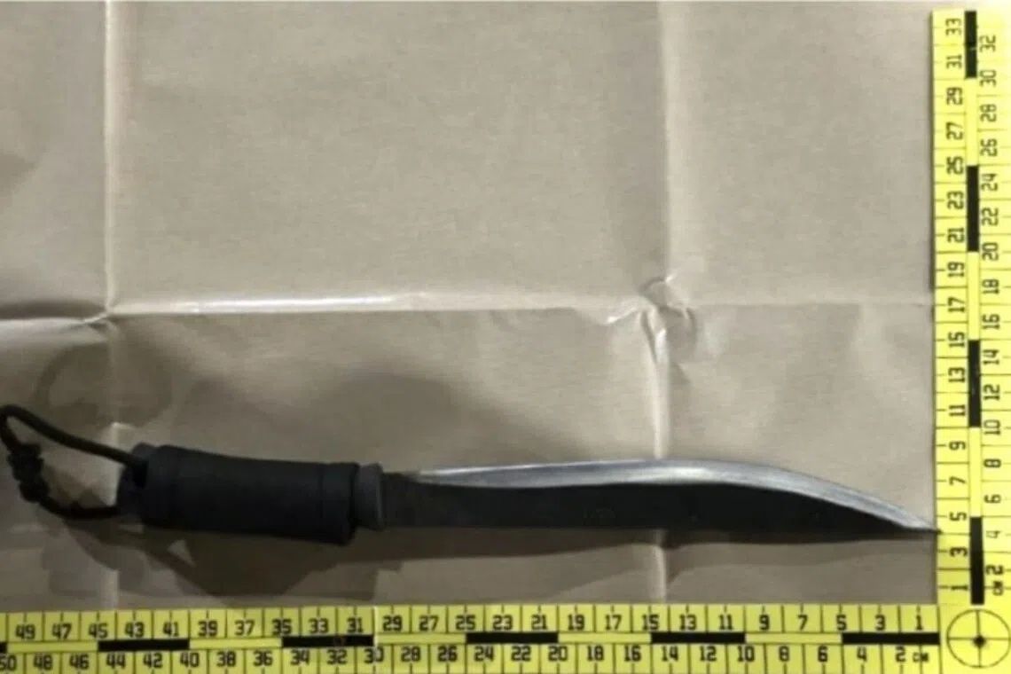 Four arrested in Singapore over abduction and weapon possession following carpark confrontation