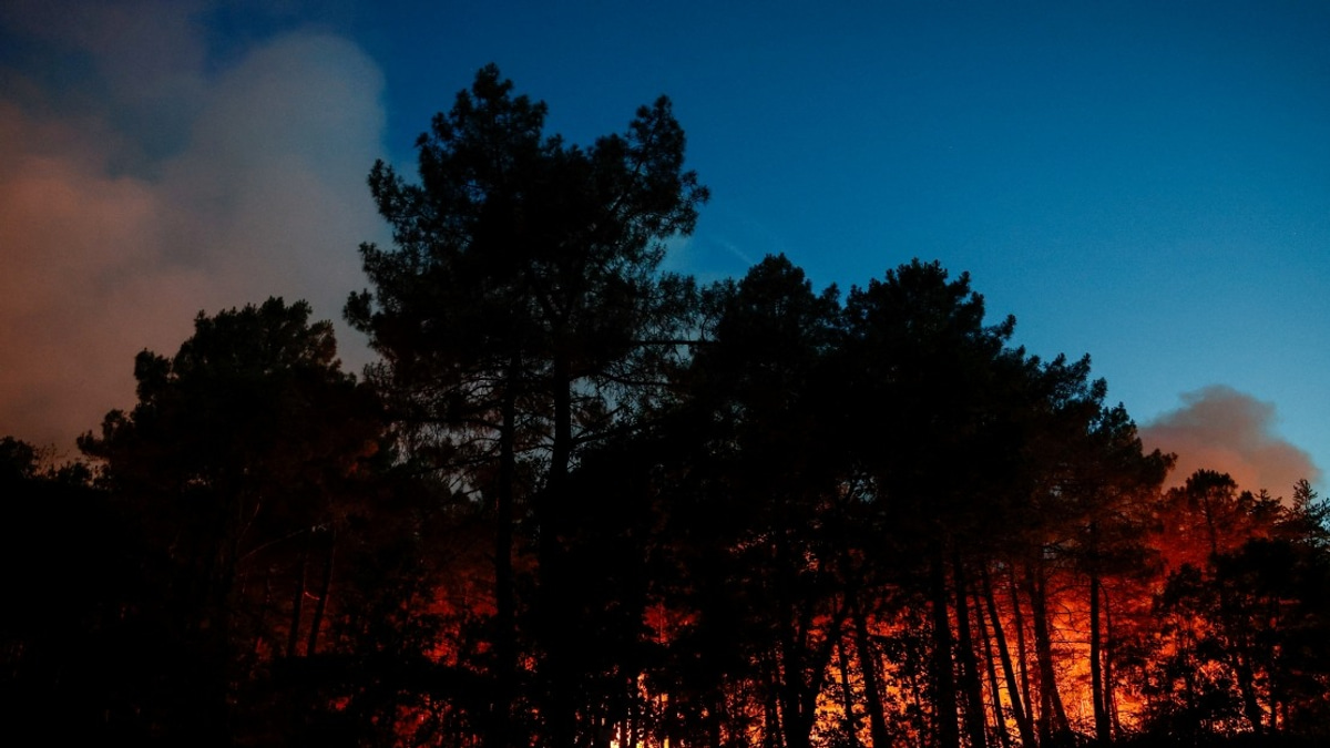 France Battles Unprecedented Wildfire Season as 119,000 Hectares Turn to Ash