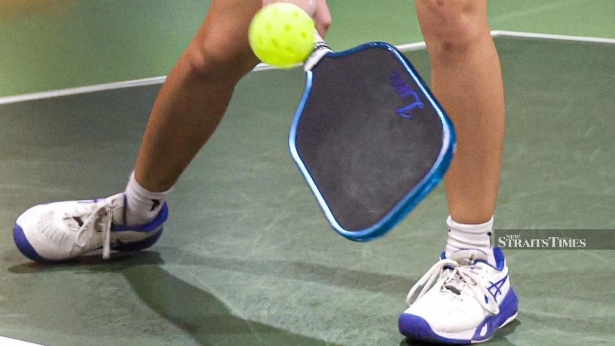 Pickleball Dispute Ignites Debate Over Council Oversight of Recreational Courts