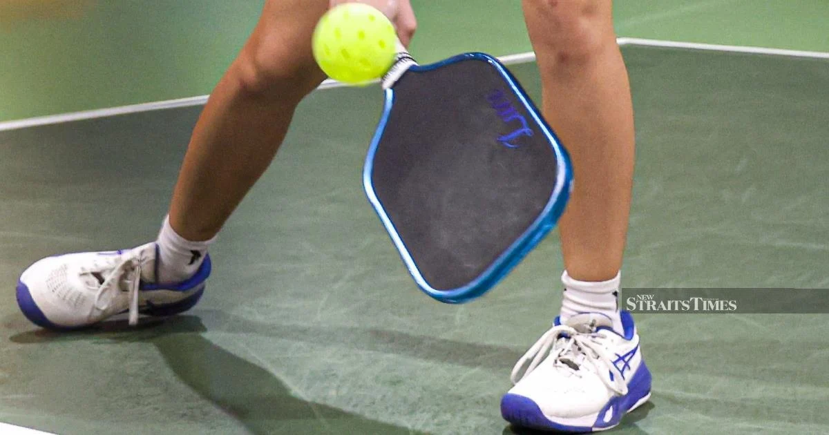 Pickleball Dispute Ignites Debate Over Council Oversight of Recreational Courts