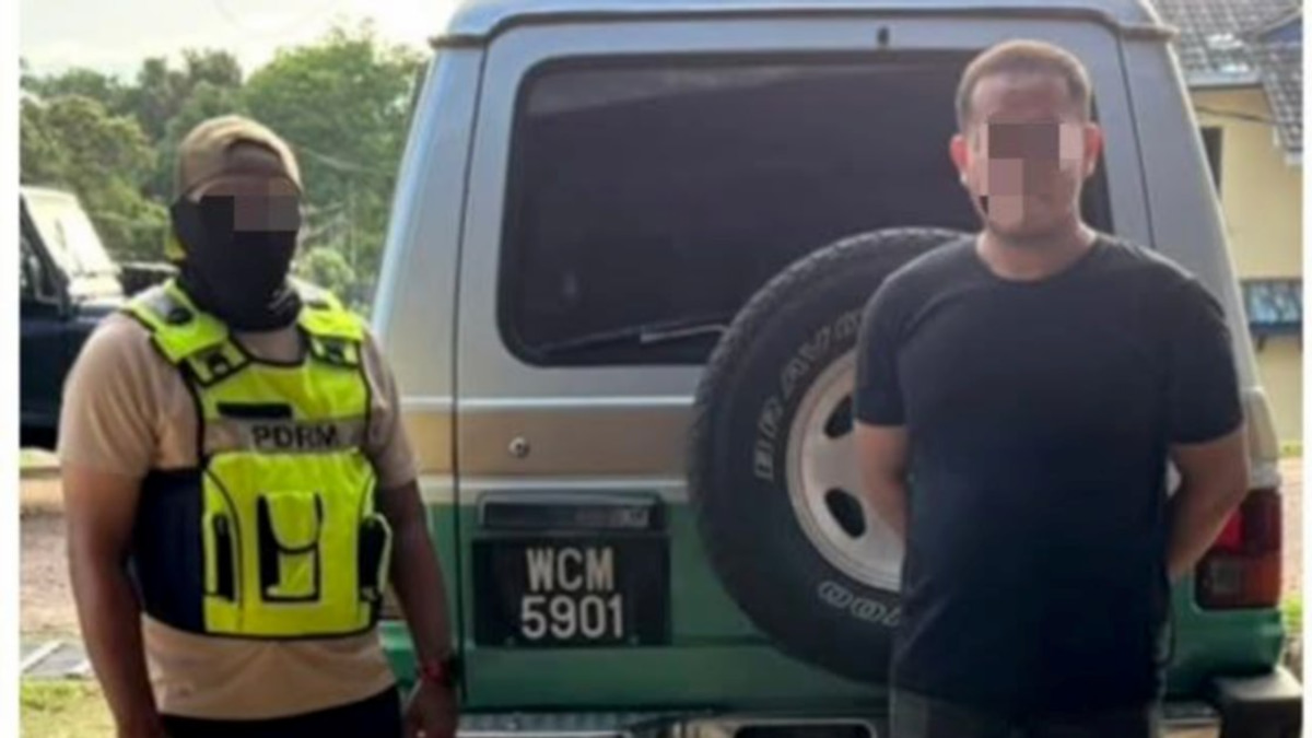Bromeliad smuggling bust nets RM6,000 haul in Pasir Mas as driver faces arrest
