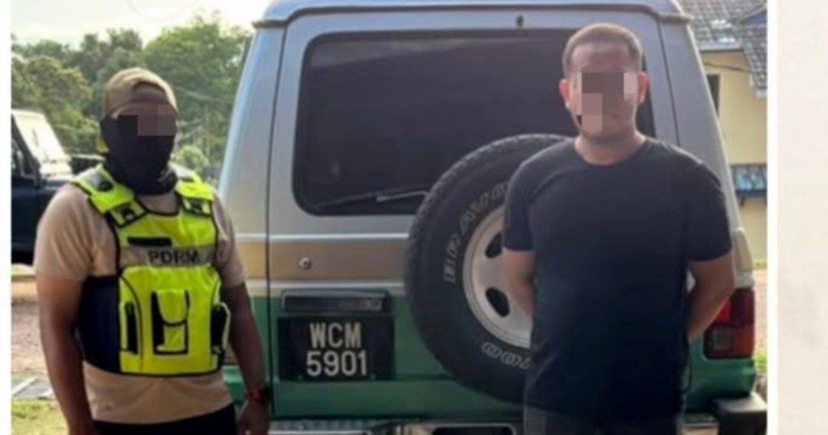 Bromeliad smuggling bust nets RM6,000 haul in Pasir Mas as driver faces arrest
