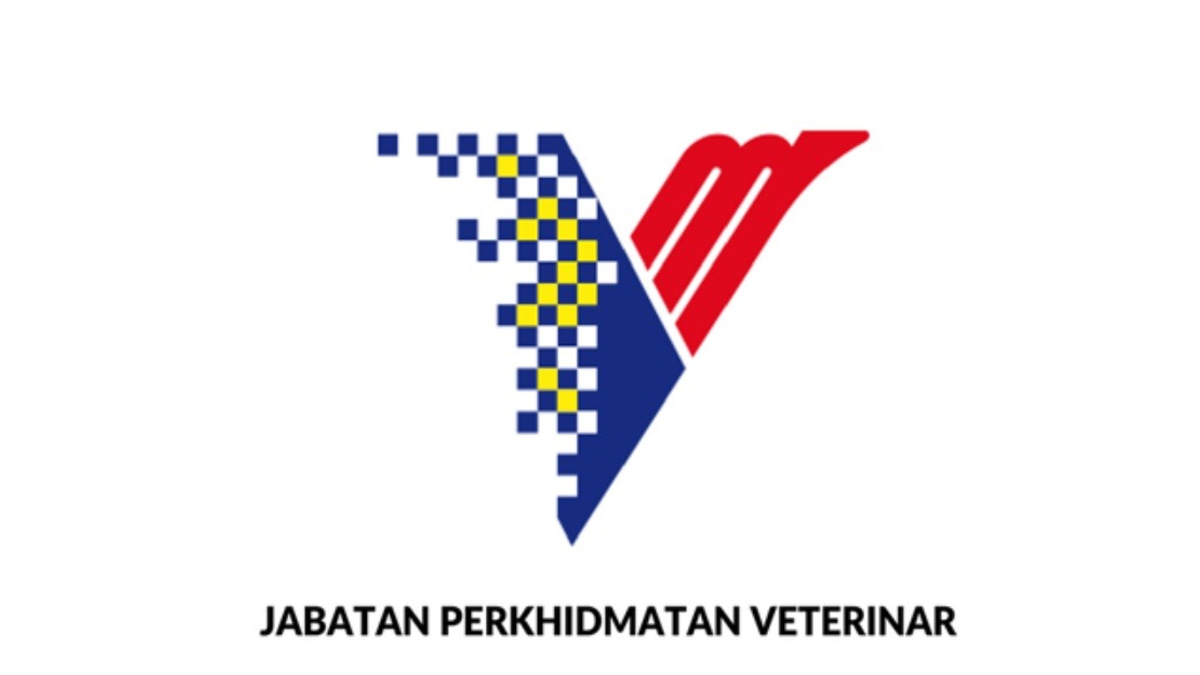 DVS Denies Role in Forged Government Orders and Fraudulent Supply Schemes